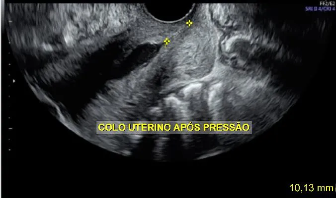 Imagem da questão