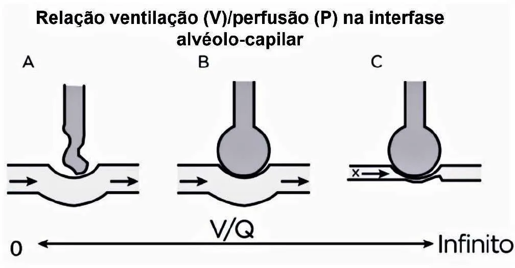 Imagem da questão