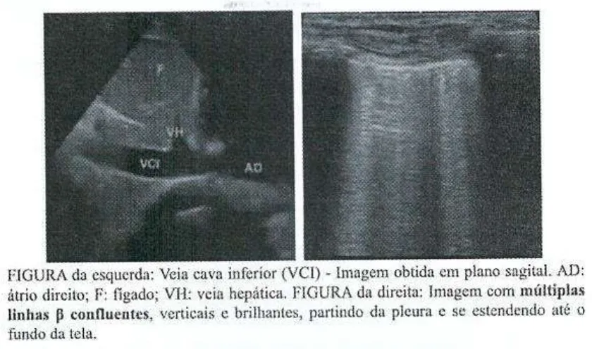 Imagem da questão
