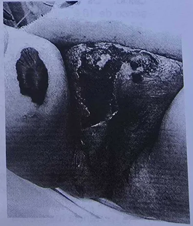 Imagem da questão