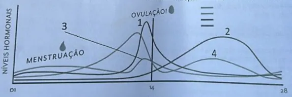 Imagem da questão