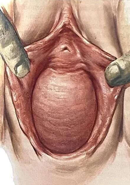 Imagem da questão